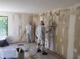 Why You Should Choose Our Mold Remediation Services in Bude, MS